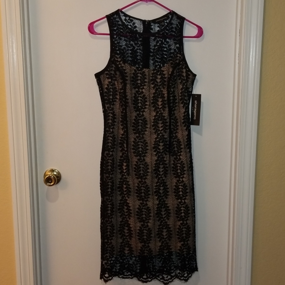 Black lace dress with nude lining.  NWT